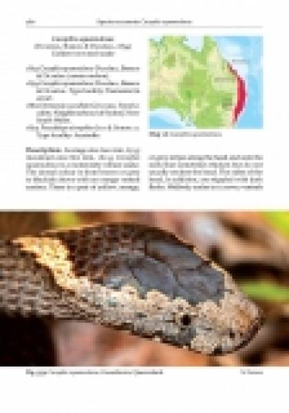 Preview: Australasian Elapids SIGNIERT!!!